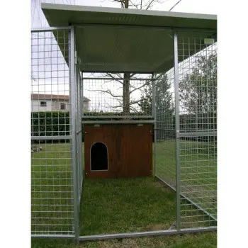 Box per cani da esterno mod. Eco + cuccia mod. Collie