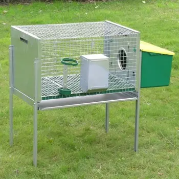 Rabbit Hutch, Cage for 1 Rabbit