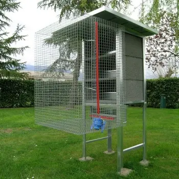 Pigeons Coop or Dovecote for 3 Pairs