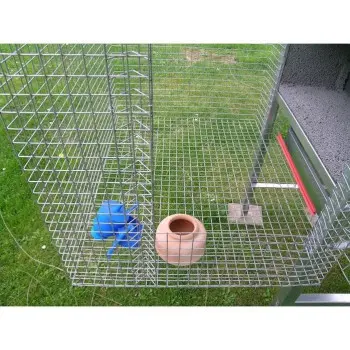 Pigeons Coop or Dovecote for 3 Pairs