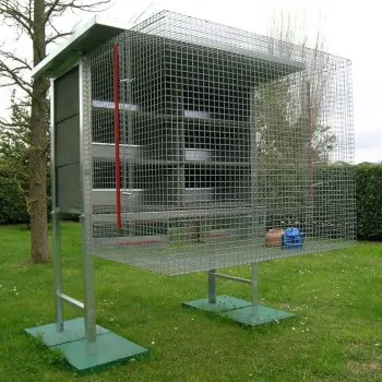 Pigeons Coop or Dovecote for 3 Pairs