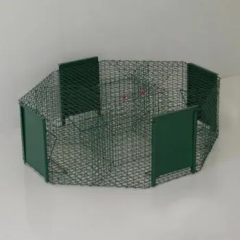 Bird Trap for Magpie, Raven, Crow, and Corvid with 4 Entrances