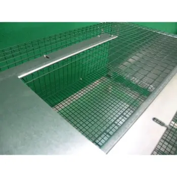 Quail Cage for Raising