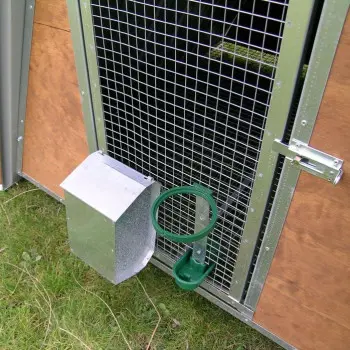 Small Chicken Coop for 8 Chickens