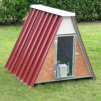 Small Chicken Coop for 8 Chickens