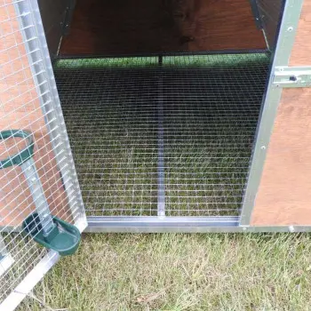 Insulated Chicken Coop for 8, 12 or 20 Chickens