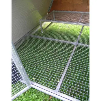 Insulated Chicken Coop for 8, 12 or 20 Chickens