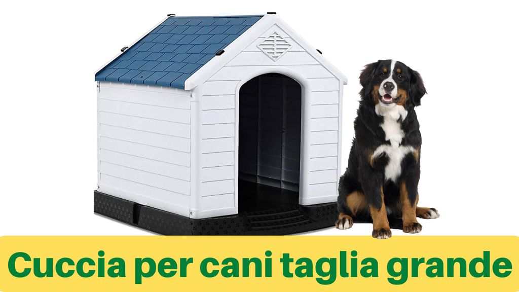 Calcola la grandezza della Cuccia in base alla taglia del Cane